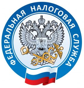 Консультация в ФНС РФ